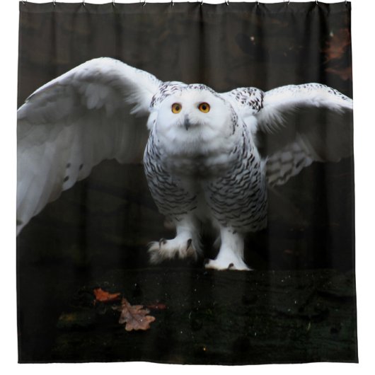 Sneeuwuil met open vleugels sccnm douchegordijn (Voorkant)