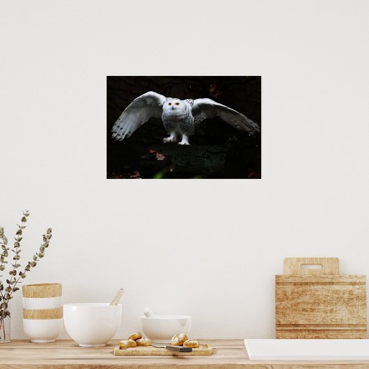 Sneeuwuil met open vleugels wapcnm poster (Keuken)