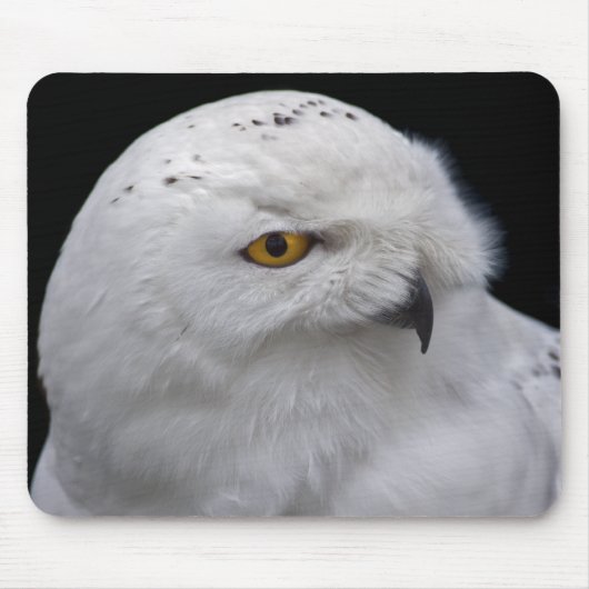 Sneeuwuil Muismat (Voorkant)
