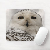 sneeuwuil muismat (Met muis)