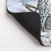 Sneeuwuil neergestreken in Winter Wonderland met s Muismat (Hoek)