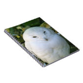 Sneeuwuil Notitieboek (Rechterzijde)