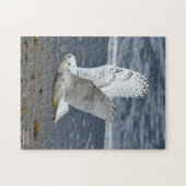 Sneeuwuil op een strand legpuzzel (Horizontaal)