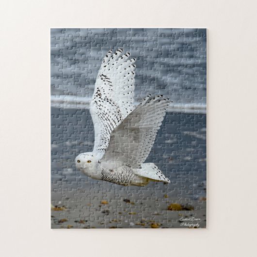Sneeuwuil op een strand legpuzzel (Verticaal)