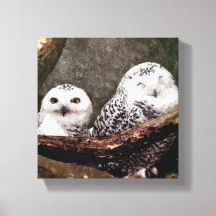 Sneeuwuil paar boslandschap dierenkunst canvas afdruk