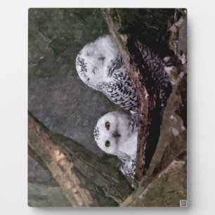Sneeuwuil paar boslandschap dierenkunst fotoplaat