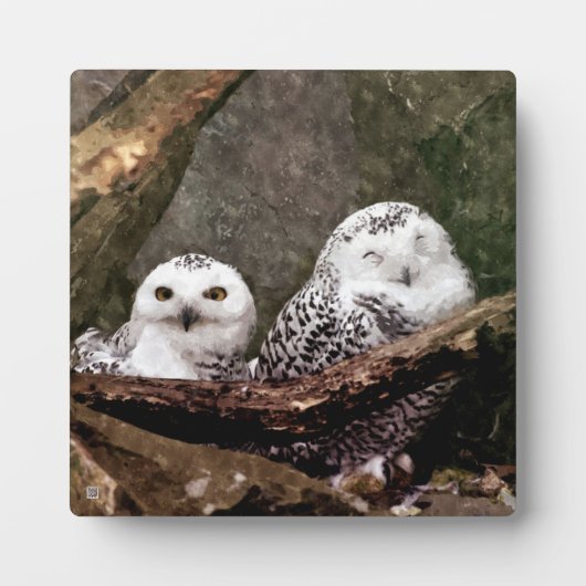 Sneeuwuil paar boslandschap dierenkunst fotoplaat (Voorkant)