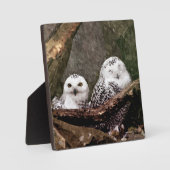 Sneeuwuil paar boslandschap dierenkunst fotoplaat (Voorkant)