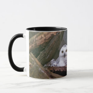 Sneeuwuil paar boslandschap dierenkunst mok