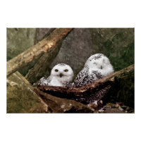 Sneeuwuil paar boslandschap dierenkunst