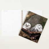 Sneeuwuil paar boslandschap dierenkunst planner (Display)