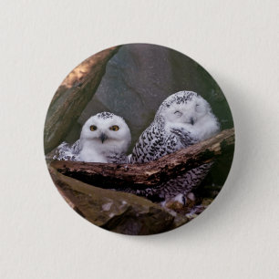 Sneeuwuil paar boslandschap dierenkunst ronde button 5,7 cm