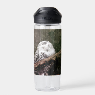 Sneeuwuil paar boslandschap dierenkunst waterfles