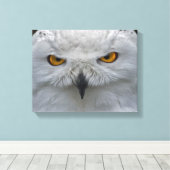 Sneeuwuil Portret Canvasprint Canvas Afdruk (Insitu (Houten vloer))
