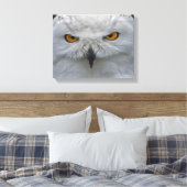 Sneeuwuil Portret Canvasprint Canvas Afdruk (Insitu (Slaapkamer))