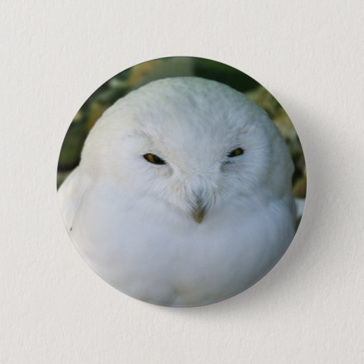 Sneeuwuil Ronde Button 5,7 Cm (Voorkant)