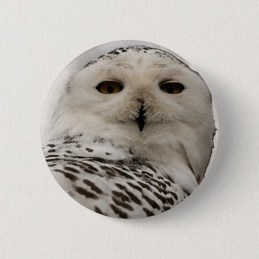 sneeuwuil ronde button 5,7 cm (Voorkant)