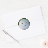 Sneeuwuil Ronde Sticker (Envelop)