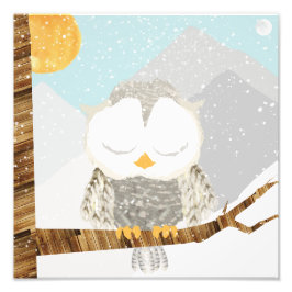 Sneeuwuil Slapend in een Boom Foto Afdruk