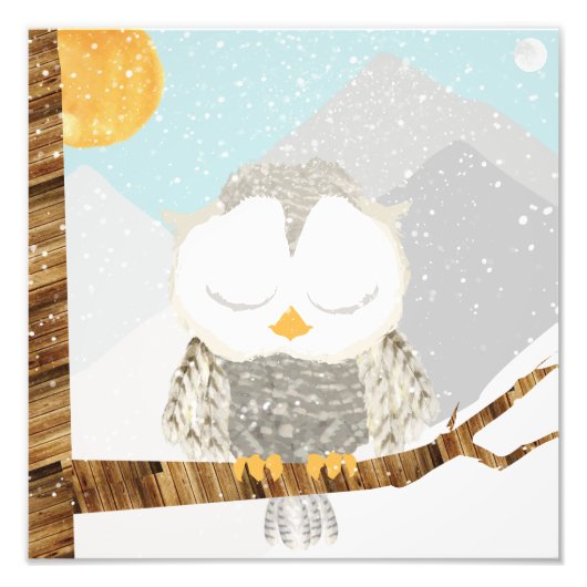 Sneeuwuil Slapend in een Boom Foto Afdruk (Voorkant)