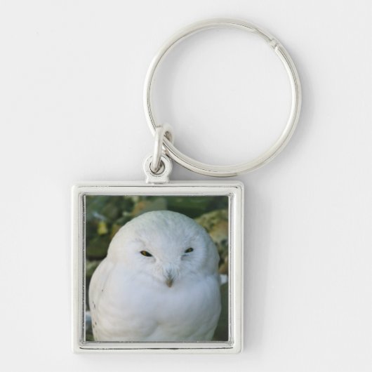 Sneeuwuil Sleutelhanger (Voorkant)