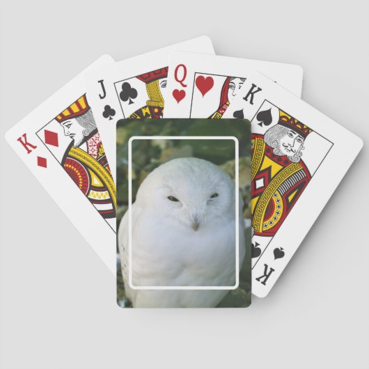 Sneeuwuil speelkaarten (Achterkant)