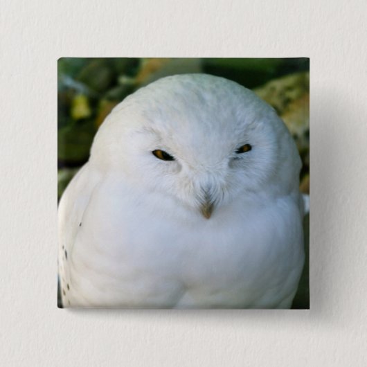 Sneeuwuil Vierkante Button 5,1 Cm (Voorkant)