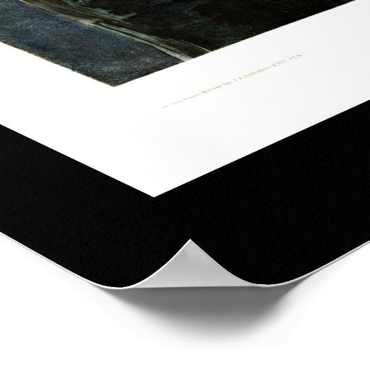 Sneeuwuil, vintage illustratie poster (Hoek)