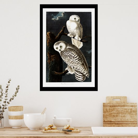 Sneeuwuil, vintage illustratie poster (Keuken)