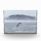 Sneeuwuil vliegt in de winter fotoblokken (Voorkant)