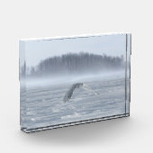 Sneeuwuil vliegt in de winter fotoblokken (Links)