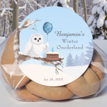Sneeuwuil Winter Onederland Verjaardag