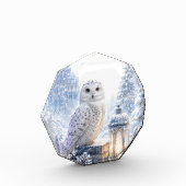 Sneeuwuil Wintermagie Fotoblokken (Links)
