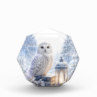 Sneeuwuil Wintermagie Fotoblokken