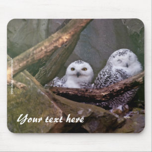 Sneeuwuilen Mousepad Muismat