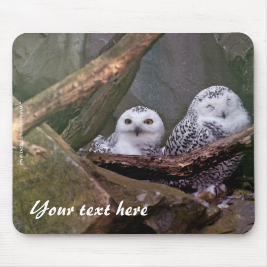 Sneeuwuilen Mousepad Muismat (Voorkant)