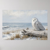 Sneeuwuilposter Shore Rest Poster (Voorkant)