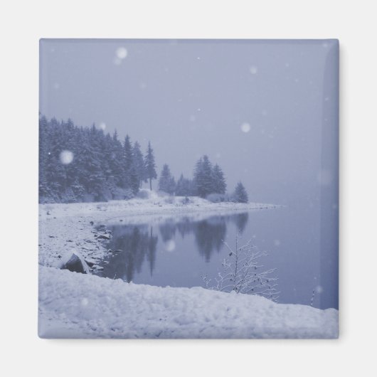 Sneeuwval aan zee magneet (Voorkant)