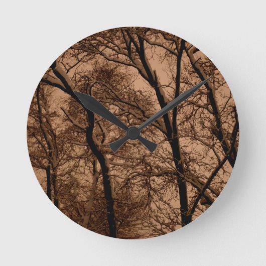 Sneeuwval Acrylwandklok Ronde Klok (Voorkant)