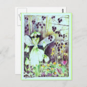 sneeuwval briefkaart (Voorkant / Achterkant)