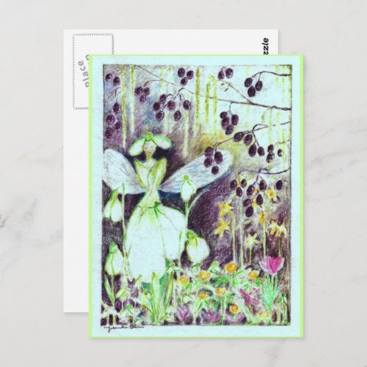 sneeuwval briefkaart (Voorkant / Achterkant)