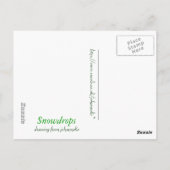 sneeuwval briefkaart (Achterkant)