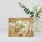 sneeuwval briefkaart (Staand voorkant)