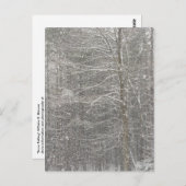 Sneeuwval Briefkaart (Voorkant / Achterkant)