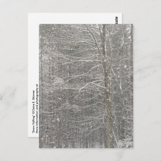 Sneeuwval Briefkaart (Voorkant / Achterkant)