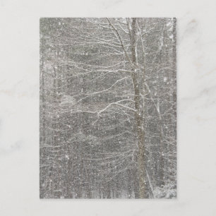 Sneeuwval Briefkaart