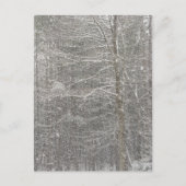 Sneeuwval Briefkaart (Voorkant)