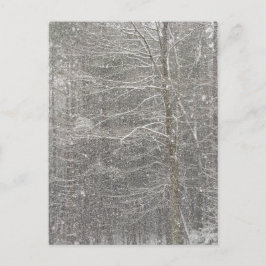 Sneeuwval Briefkaart