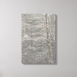 Sneeuwval Canvas Afdruk