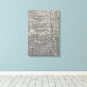 Sneeuwval Canvas Afdruk (Insitu (Houten vloer))